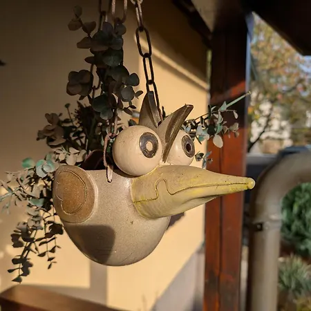 Apartment Schöne 2-raumwohnung Inklusive Infrarot-wärmekabine *