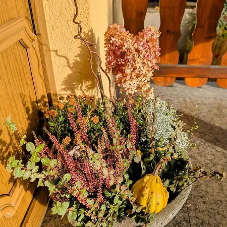 Apartment Schöne 2-raumwohnung Inklusive Infrarot-wärmekabine Grossrohrsdorf